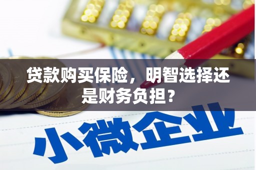 洮北贷款购买保险，明智选择还是财务负担？