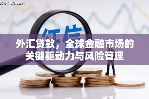洮北外汇贷款，全球金融市场的关键驱动力与风险管理