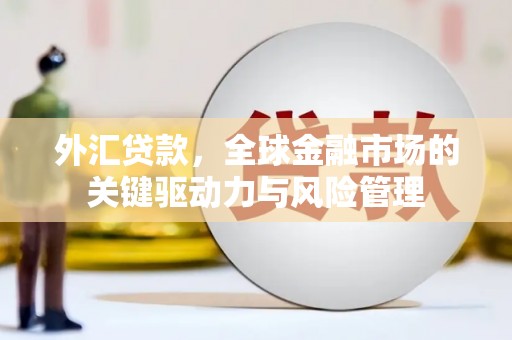洮北外汇贷款，全球金融市场的关键驱动力与风险管理