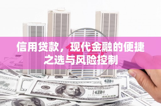 洮北信用贷款，现代金融的便捷之选与风险控制