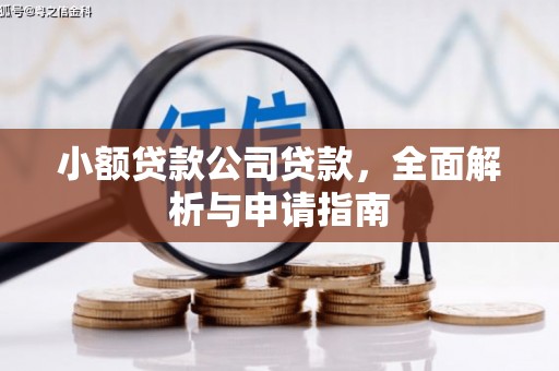 洮北小额贷款公司贷款，全面解析与申请指南