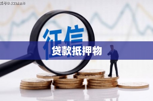洮北贷款抵押物