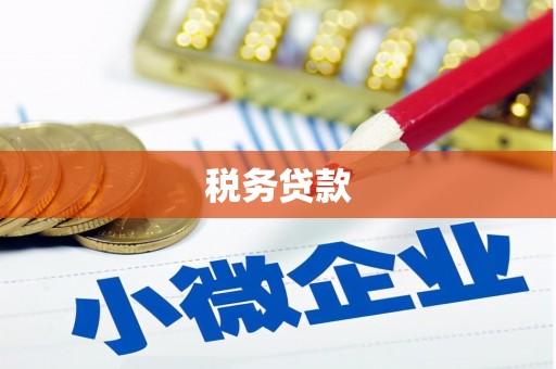 洮北税务贷款