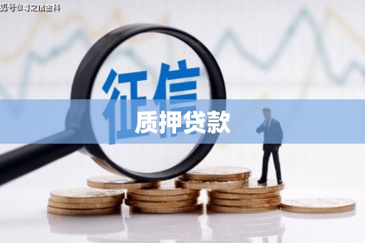 洮北质押贷款