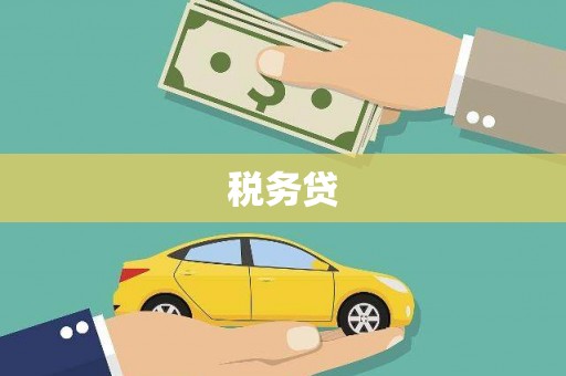 洮北税务贷