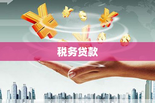 洮北税务贷款