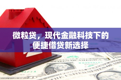 洮北微粒贷，现代金融科技下的便捷借贷新选择
