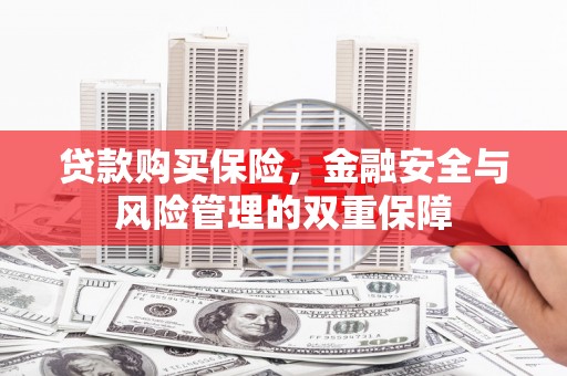 洮北贷款购买保险，金融安全与风险管理的双重保障