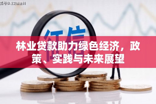 洮北林业贷款助力绿色经济，政策、实践与未来展望