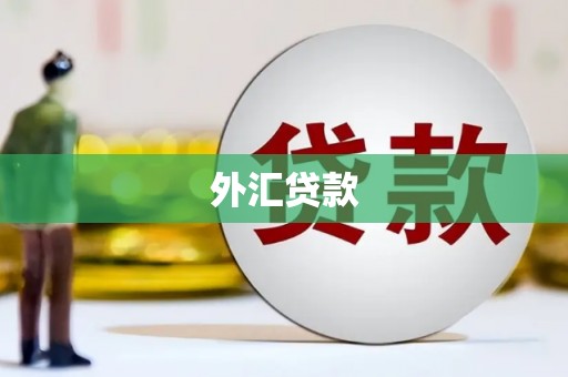 洮北外汇贷款