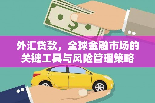 洮北外汇贷款，全球金融市场的关键工具与风险管理策略