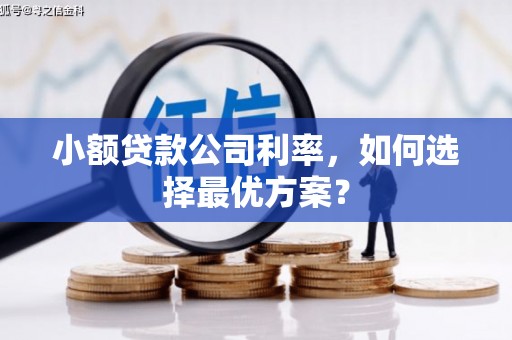 洮北小额贷款公司利率，如何选择最优方案？