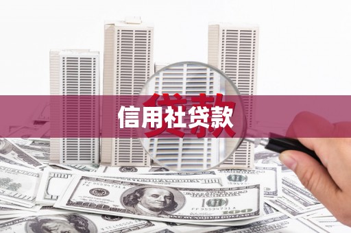 洮北信用社贷款