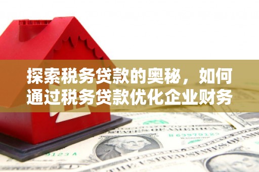 洮北探索税务贷款的奥秘，如何通过税务贷款优化企业财务