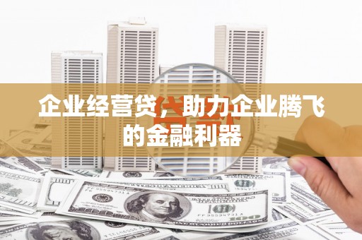 洮北企业经营贷，助力企业腾飞的金融利器