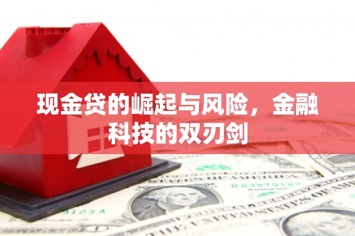 洮北现金贷的崛起与风险，金融科技的双刃剑