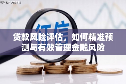 洮北贷款风险评估，如何精准预测与有效管理金融风险