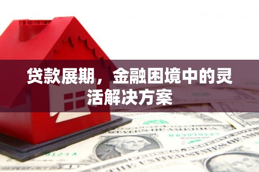 洮北贷款展期，金融困境中的灵活解决方案