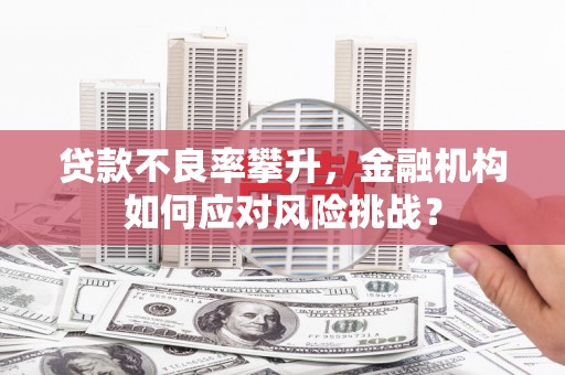 洮北贷款不良率攀升，金融机构如何应对风险挑战？