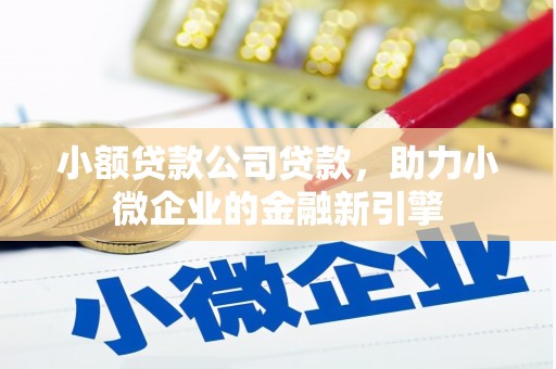 洮北小额贷款公司贷款，助力小微企业的金融新引擎