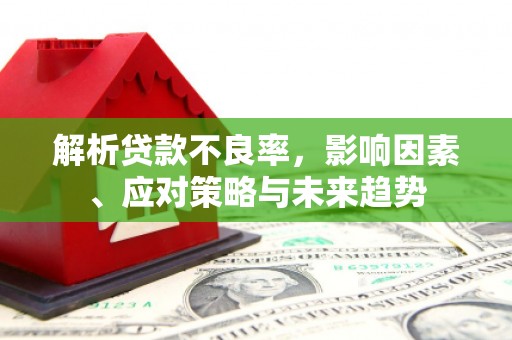 洮北解析贷款不良率，影响因素、应对策略与未来趋势