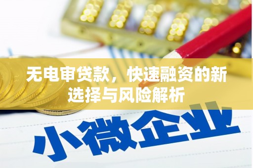 洮北无电审贷款，快速融资的新选择与风险解析