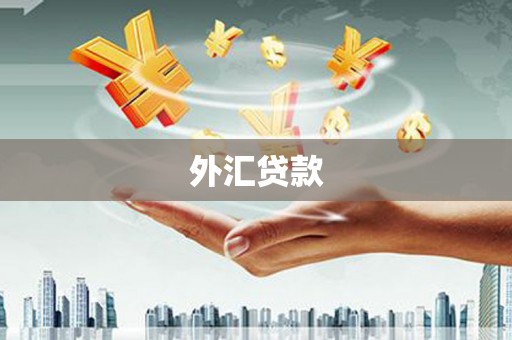 洮北外汇贷款
