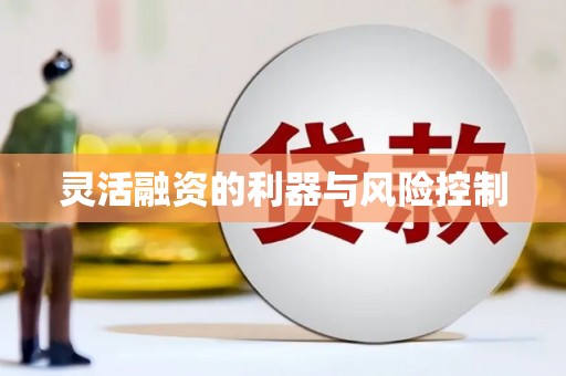 洮北灵活融资的利器与风险控制