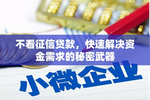 洮北不看征信贷款，快速解决资金需求的秘密武器