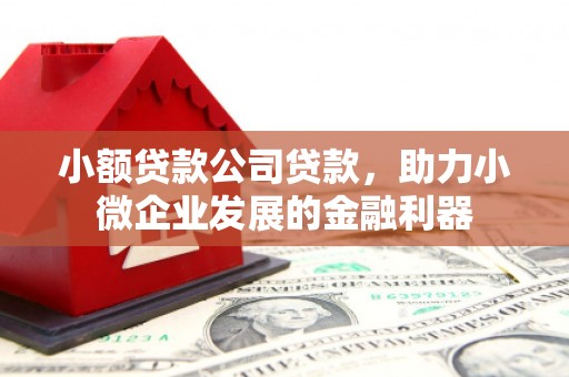 洮北小额贷款公司贷款，助力小微企业发展的金融利器