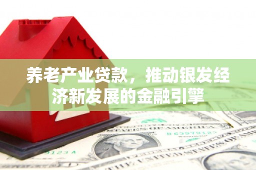 洮北养老产业贷款，推动银发经济新发展的金融引擎