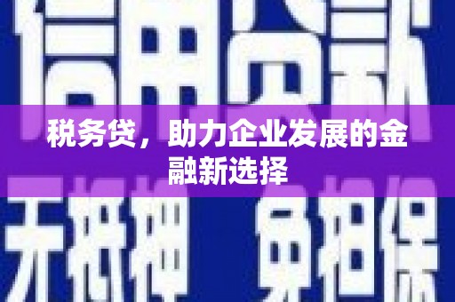 洮北税务贷，助力企业发展的金融新选择