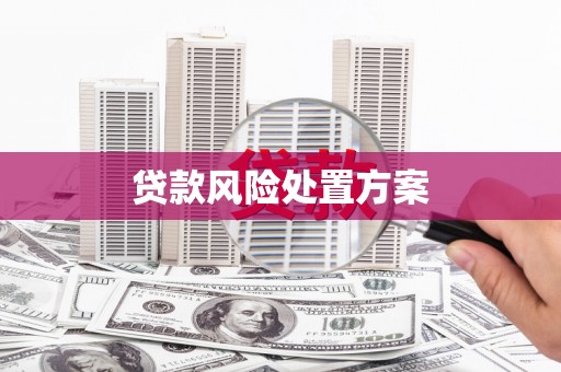 洮北贷款风险处置方案