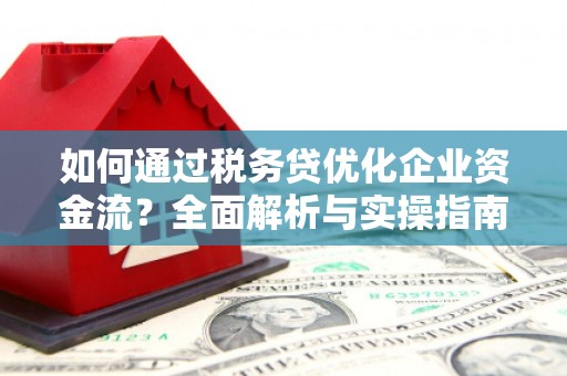 洮北如何通过税务贷优化企业资金流？全面解析与实操指南