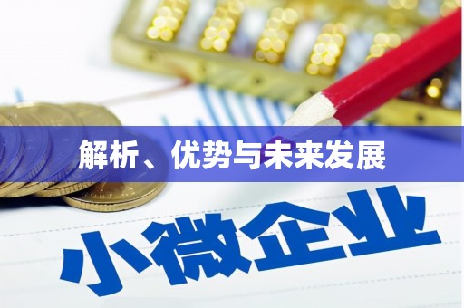 洮北解析、优势与未来发展