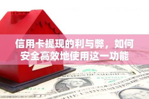 洮北信用卡提现的利与弊，如何安全高效地使用这一功能