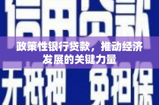 洮北政策性银行贷款，推动经济发展的关键力量