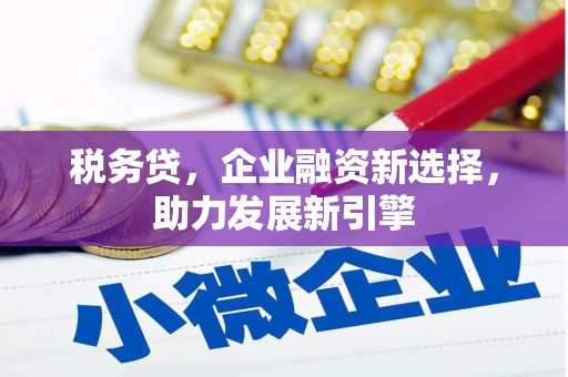 洮北税务贷，企业融资新选择，助力发展新引擎