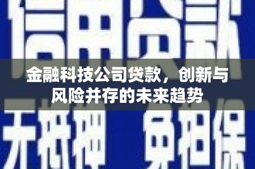 洮北金融科技公司贷款，创新与风险并存的未来趋势