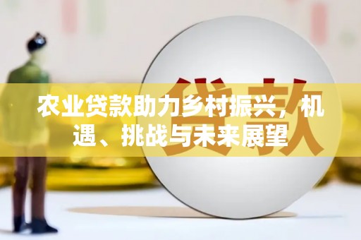 洮北农业贷款助力乡村振兴，机遇、挑战与未来展望