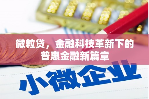 洮北微粒贷，金融科技革新下的普惠金融新篇章
