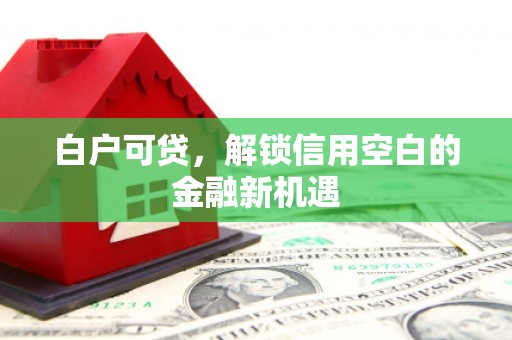 洮北白户可贷，解锁信用空白的金融新机遇