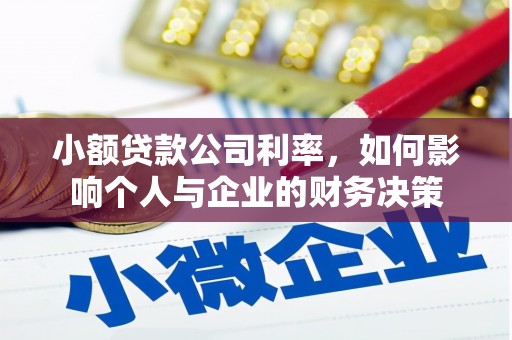 洮北小额贷款公司利率，如何影响个人与企业的财务决策