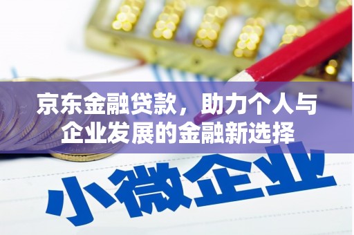 洮北京东金融贷款，助力个人与企业发展的金融新选择