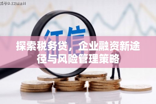 洮北探索税务贷，企业融资新途径与风险管理策略
