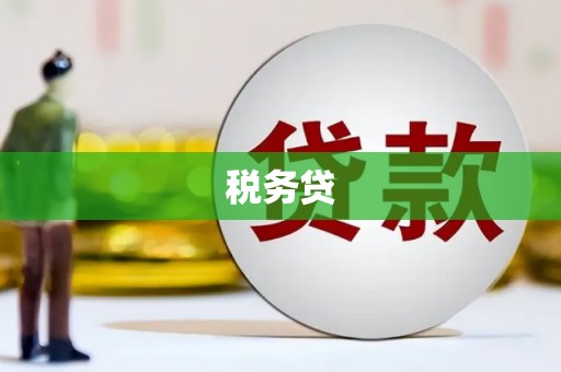 洮北税务贷
