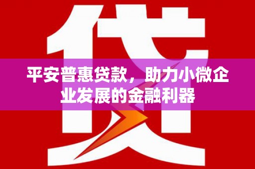 洮北平安普惠贷款，助力小微企业发展的金融利器