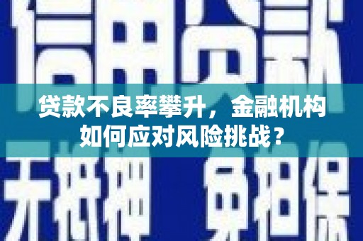 洮北贷款不良率攀升，金融机构如何应对风险挑战？