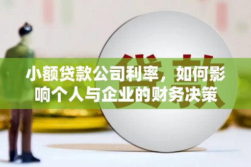 洮北小额贷款公司利率，如何影响个人与企业的财务决策