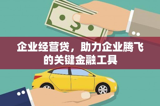 洮北企业经营贷，助力企业腾飞的关键金融工具